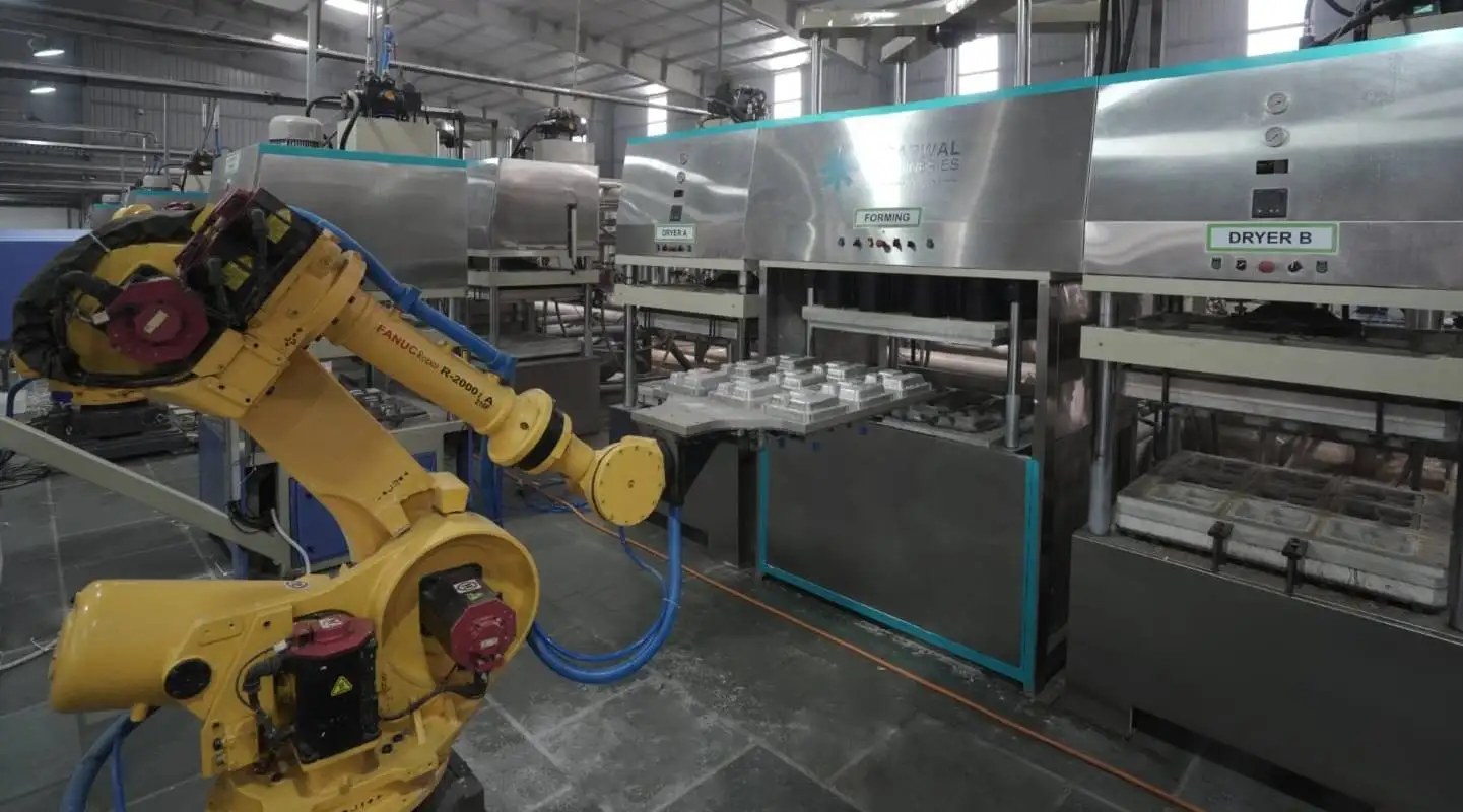 Pulp Moulding Machine