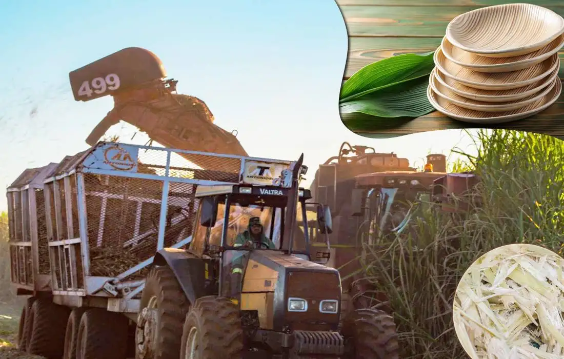 Sugarcane Bagasse Tableware Making Machine